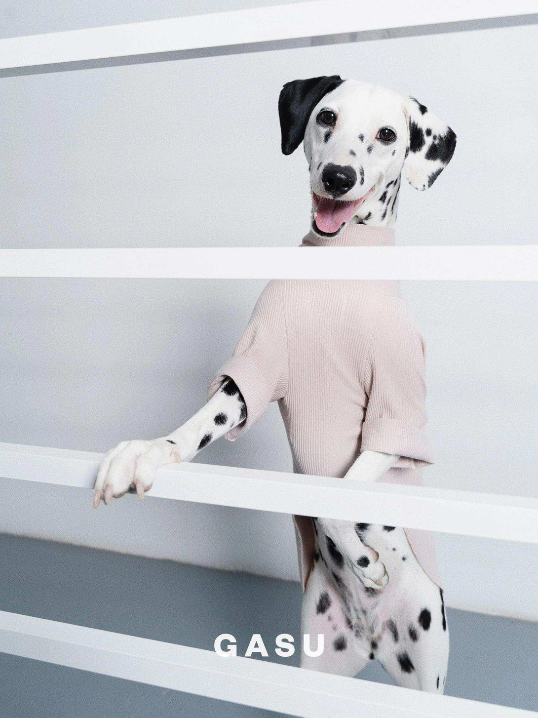 Double-sided Cuttable Dog Pullover