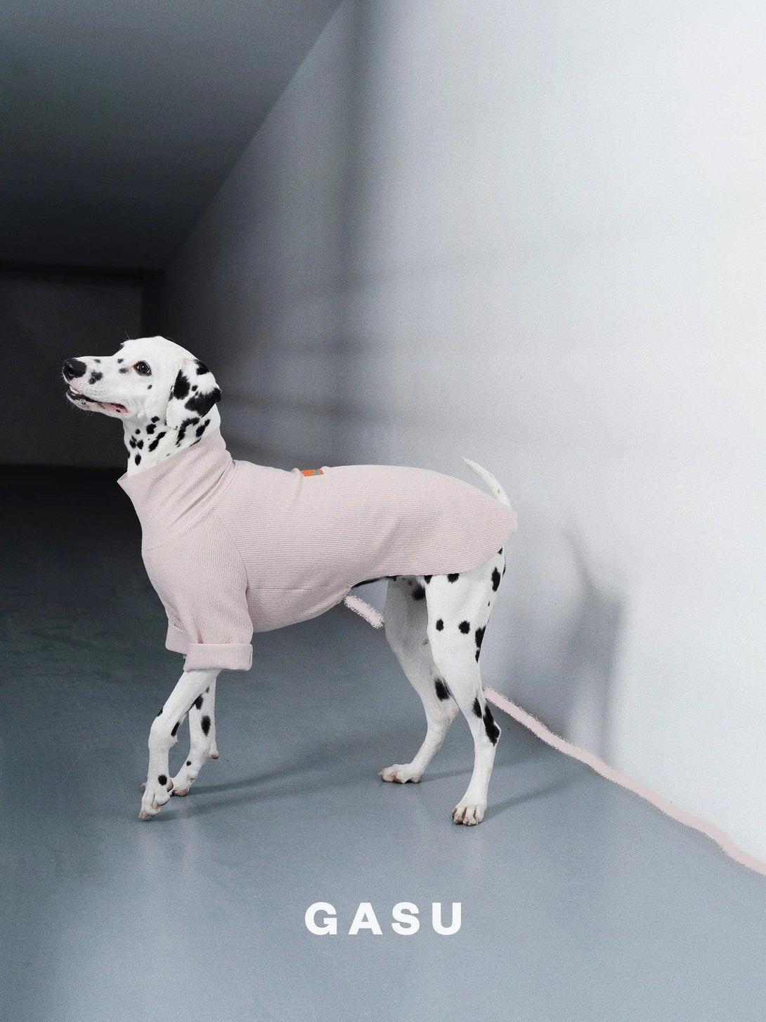 Double-sided Cuttable Dog Pullover