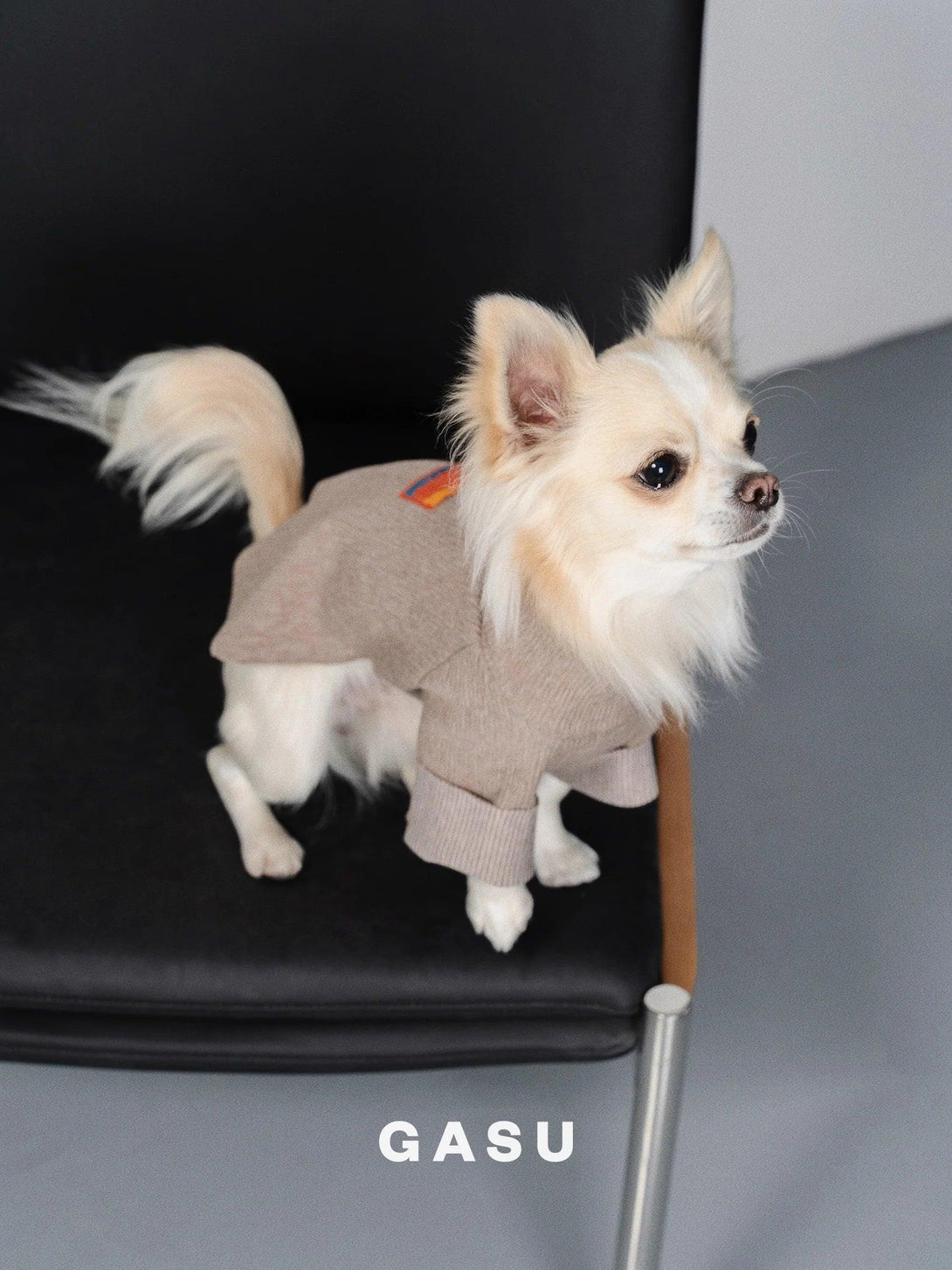 Double-sided Cuttable Dog Pullover