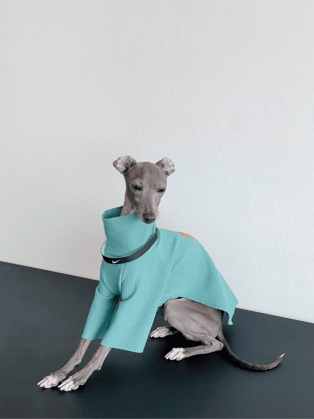 Double-sided Cuttable Dog Pullover