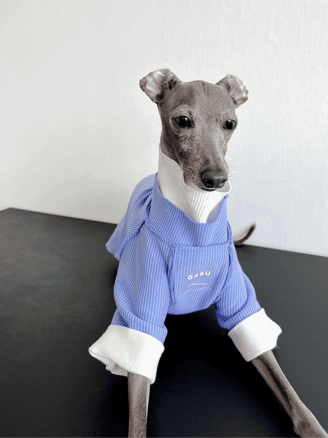 Double-sided Cuttable Dog Pullover