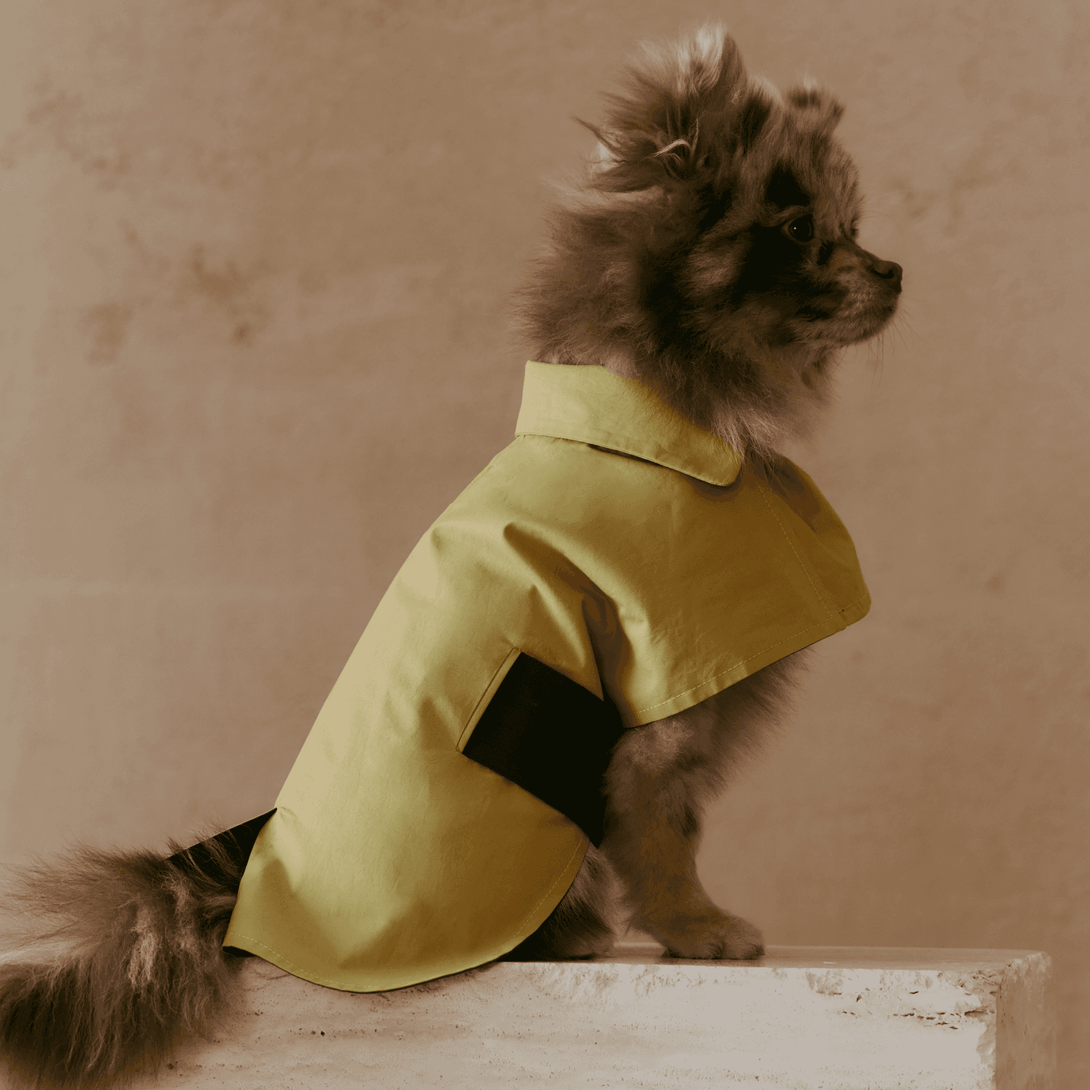 Dual-Coloured Reversible Dog Windbreaker - 2&4 PETS