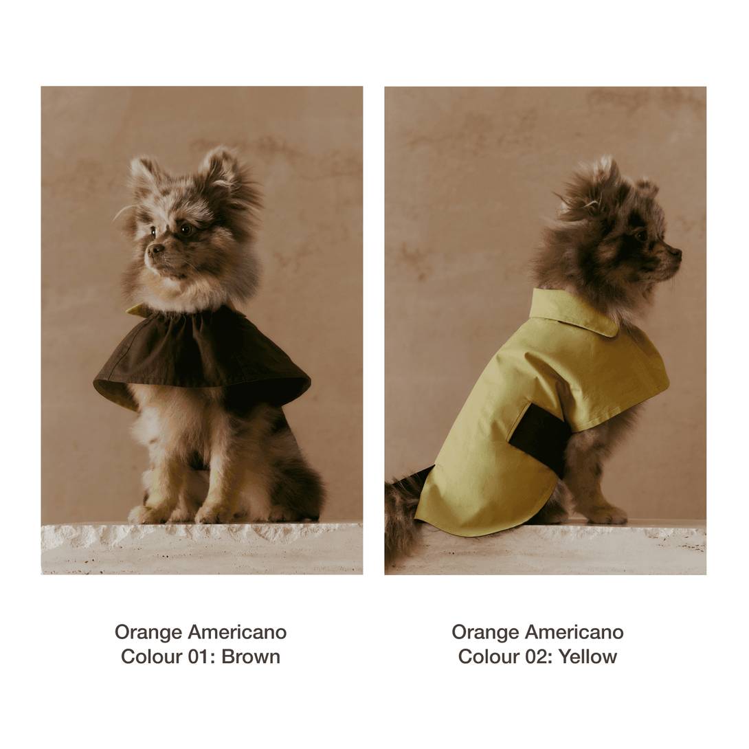 Dual-Coloured Reversible Dog Windbreaker - 2&4 PETS