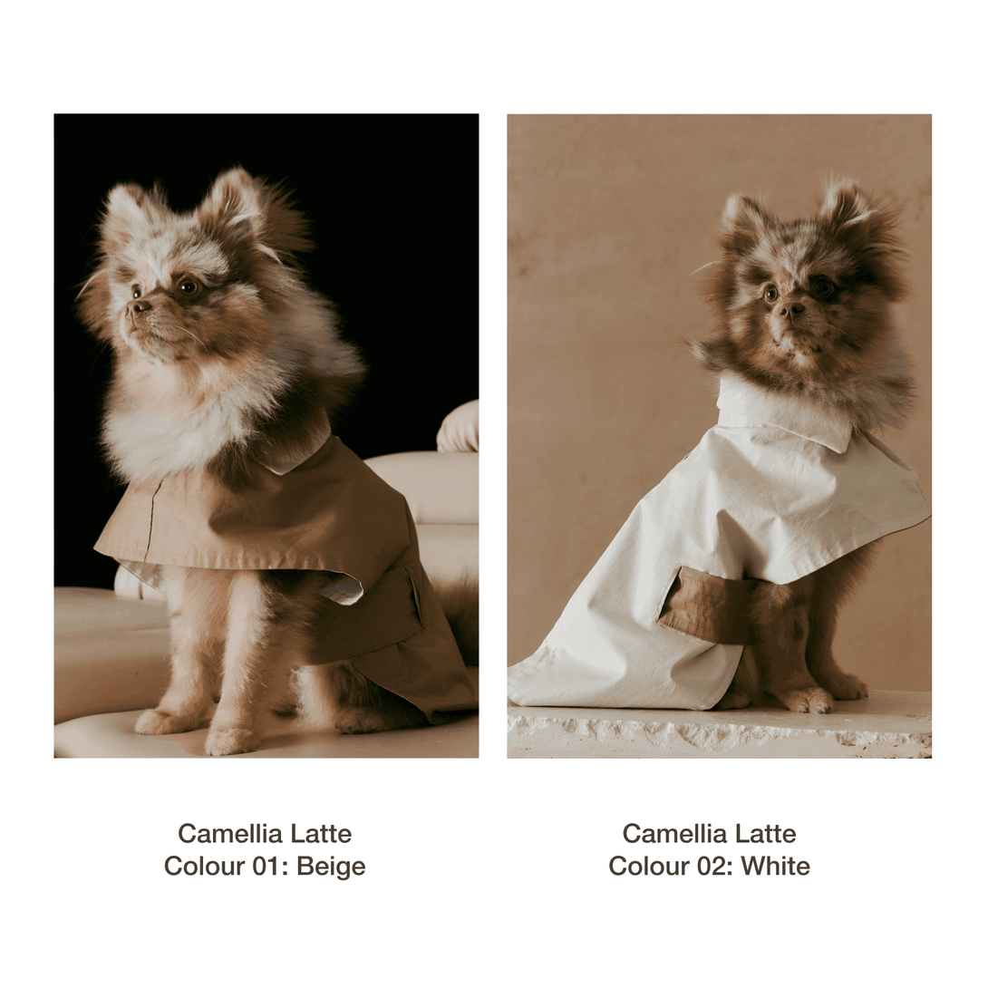 Dual-Coloured Reversible Dog Windbreaker - 2&4 PETS