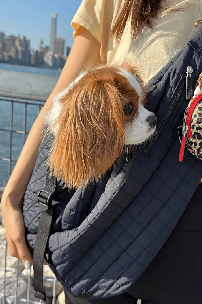 Dumpling Bag | Pet Carrier - Navy - 2&4 PETS