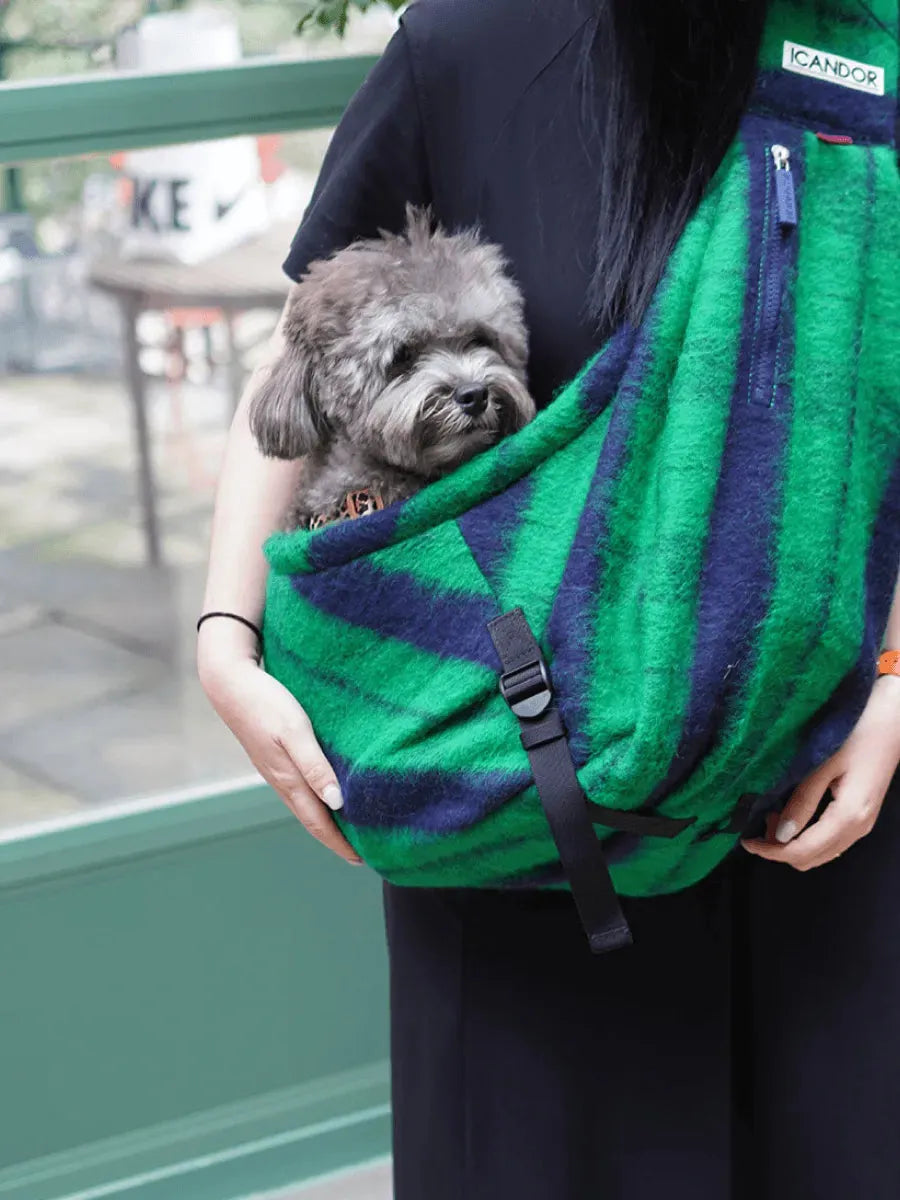 Dumpling Bag | Pet Carrier | Holiday Edition - 2&4 PETS