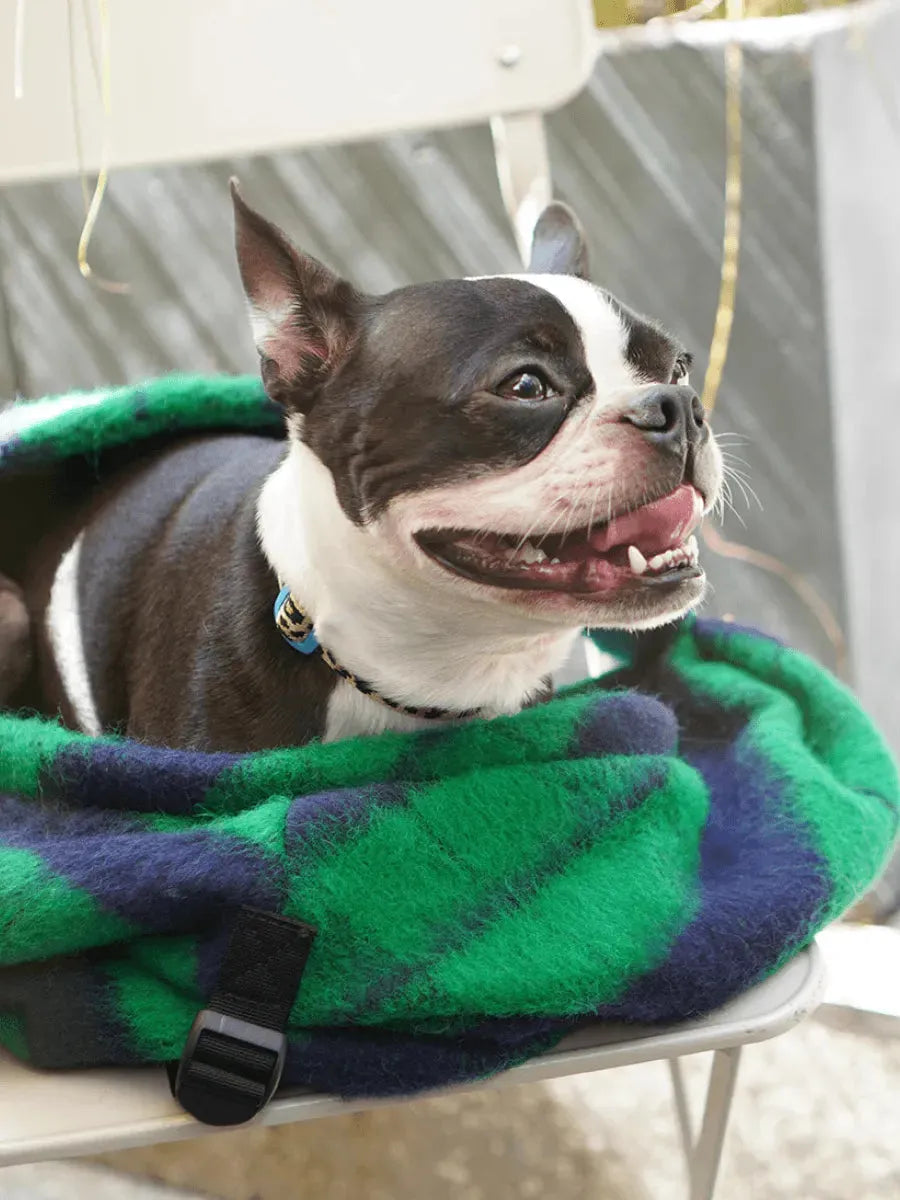 Dumpling Bag | Pet Carrier | Holiday Edition - 2&4 PETS