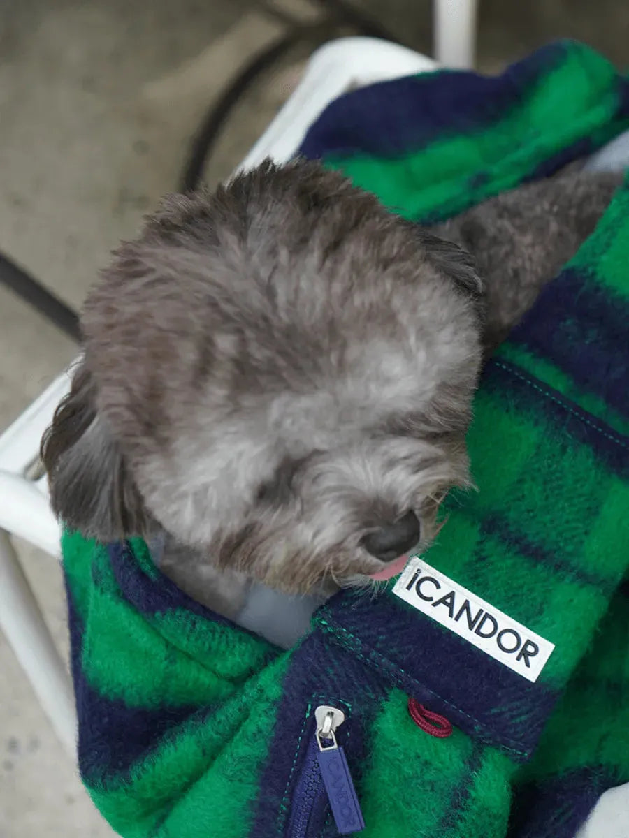 Dumpling Bag | Pet Carrier | Holiday Edition - 2&4 PETS