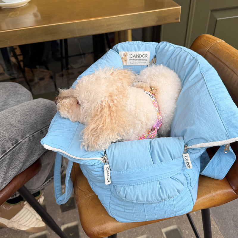 Fluffy dog napping in light blue ICANDOR pet carrier bag at café, cozy travel accessory for small pets