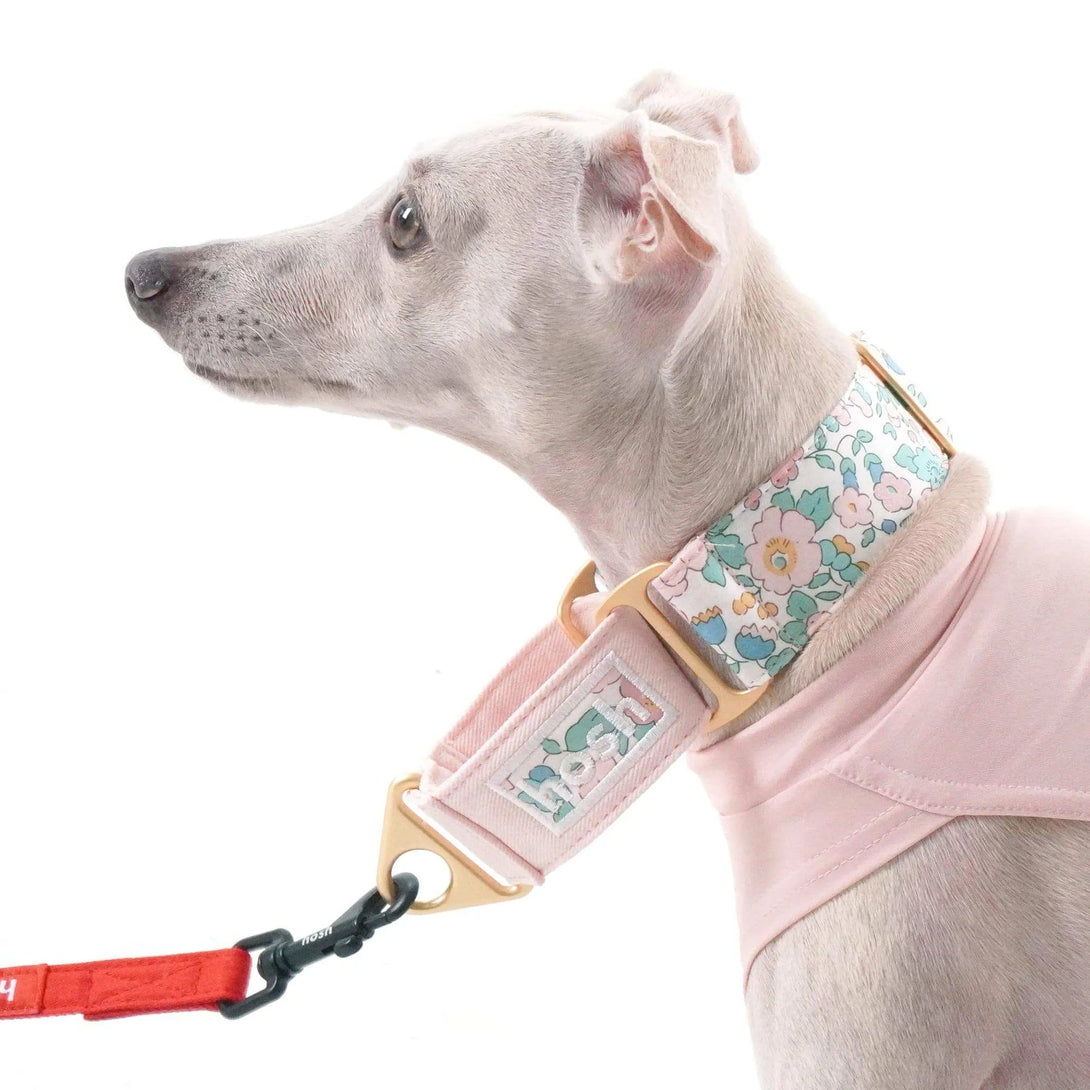 Flower Print Collar | Pink - 2&4 PETS