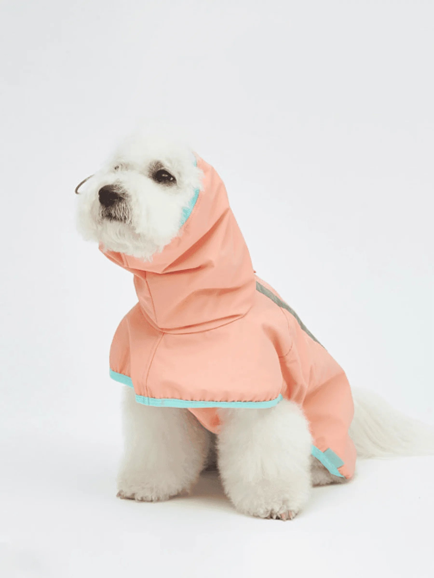 Dog raincoat full sales coverage