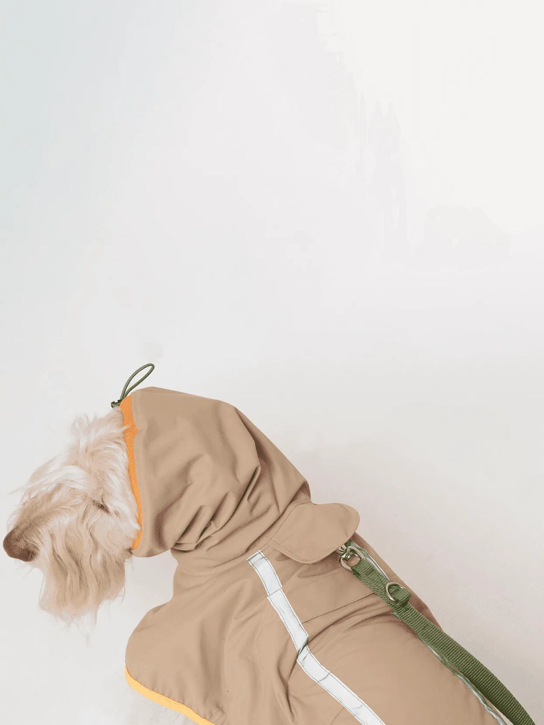 Full Coverage Reflective Dog Raincoat