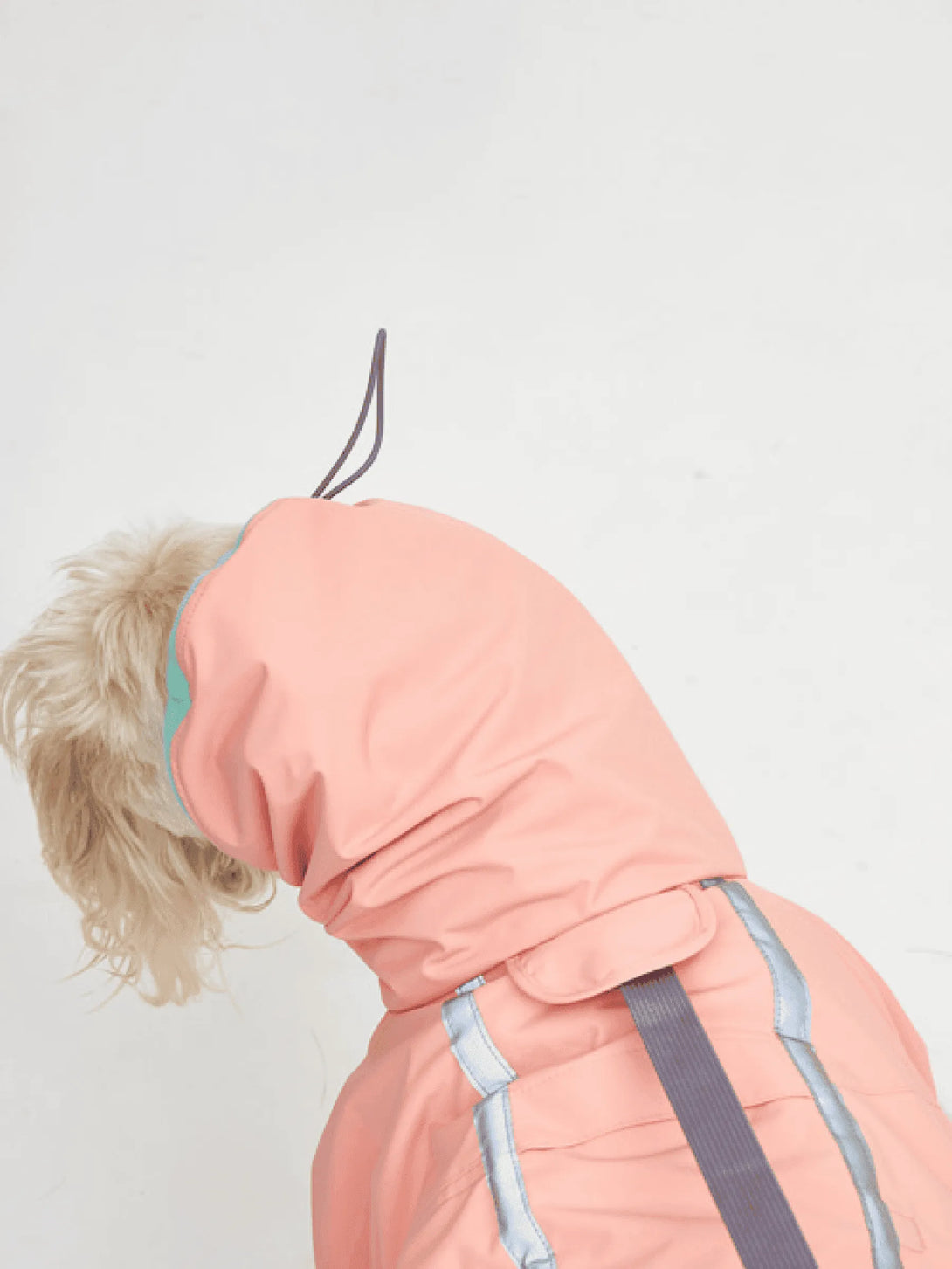 Full Coverage Reflective Dog Raincoat