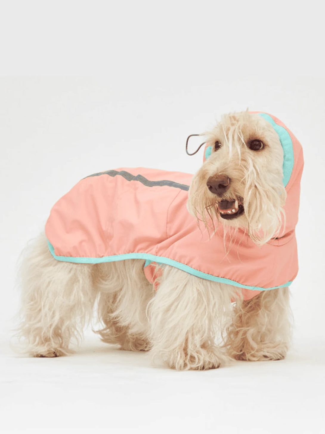 Full Coverage Reflective Dog Raincoat