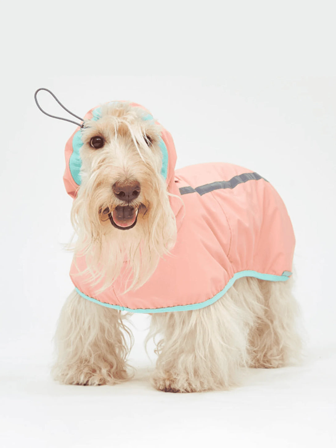 Full Coverage Reflective Dog Raincoat