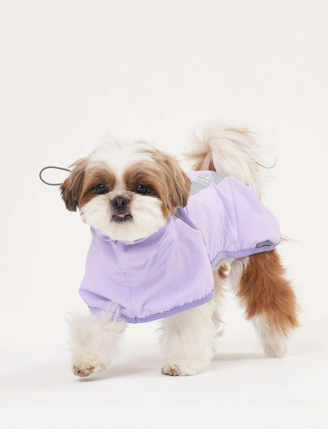 Full Coverage Reflective Dog Raincoat