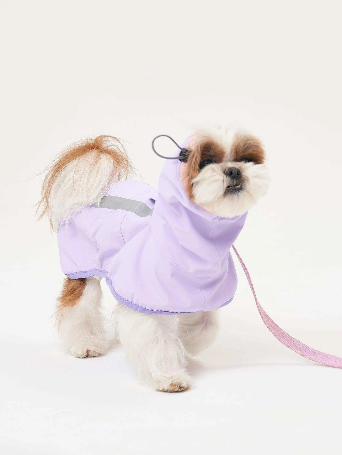 Full Coverage Reflective Dog Raincoat