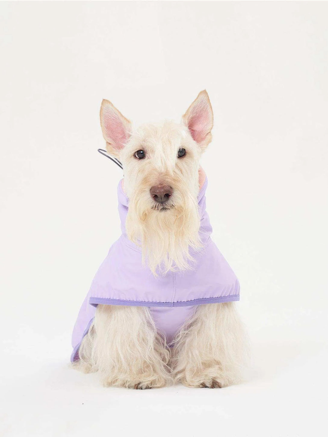 Full Coverage Reflective Dog Raincoat