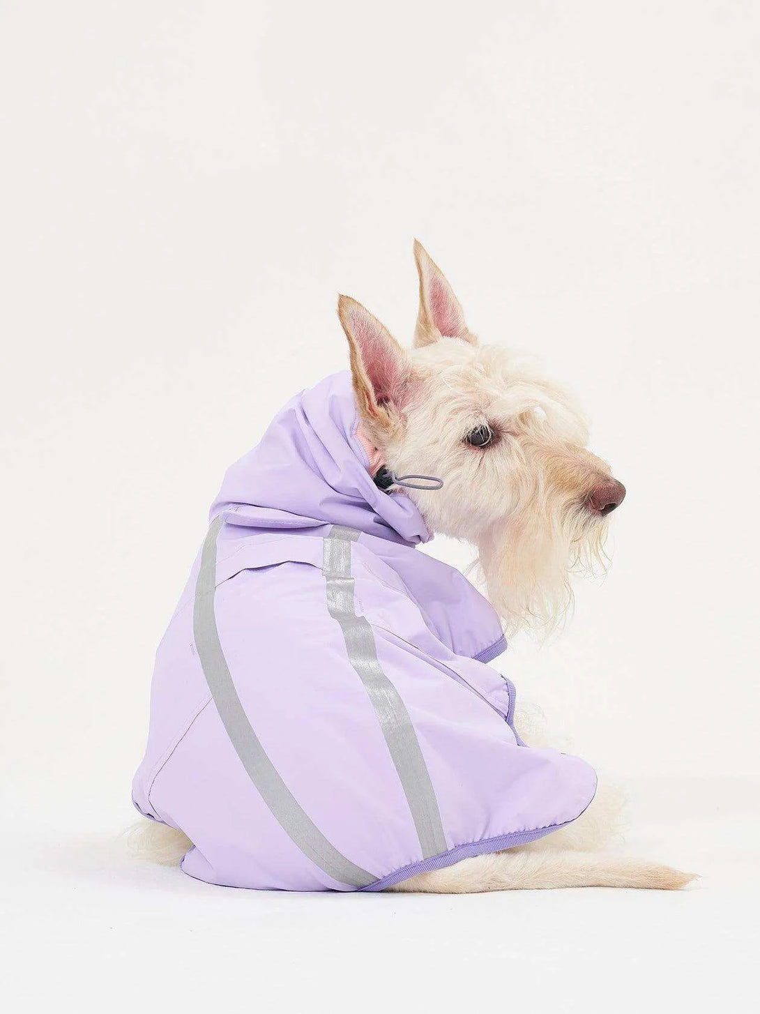 Full Coverage Reflective Dog Raincoat