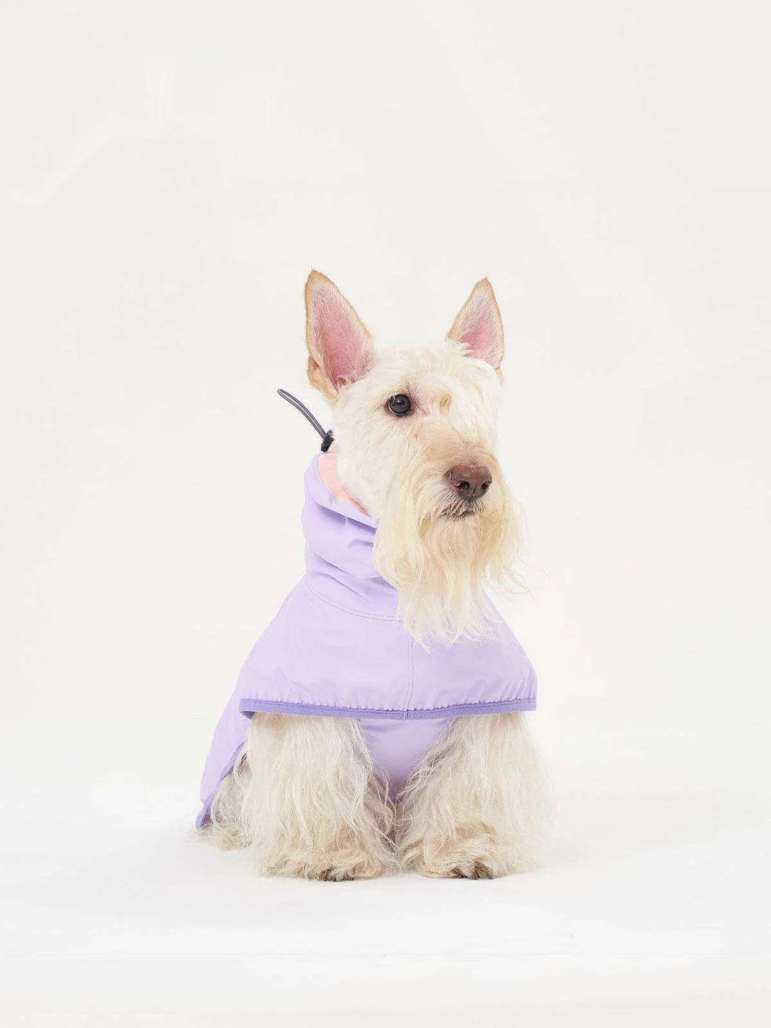 Full Coverage Reflective Dog Raincoat