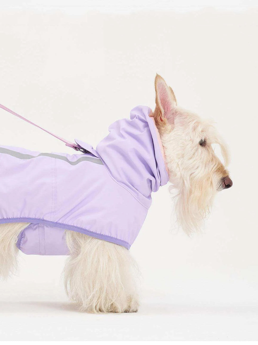 Full Coverage Reflective Dog Raincoat