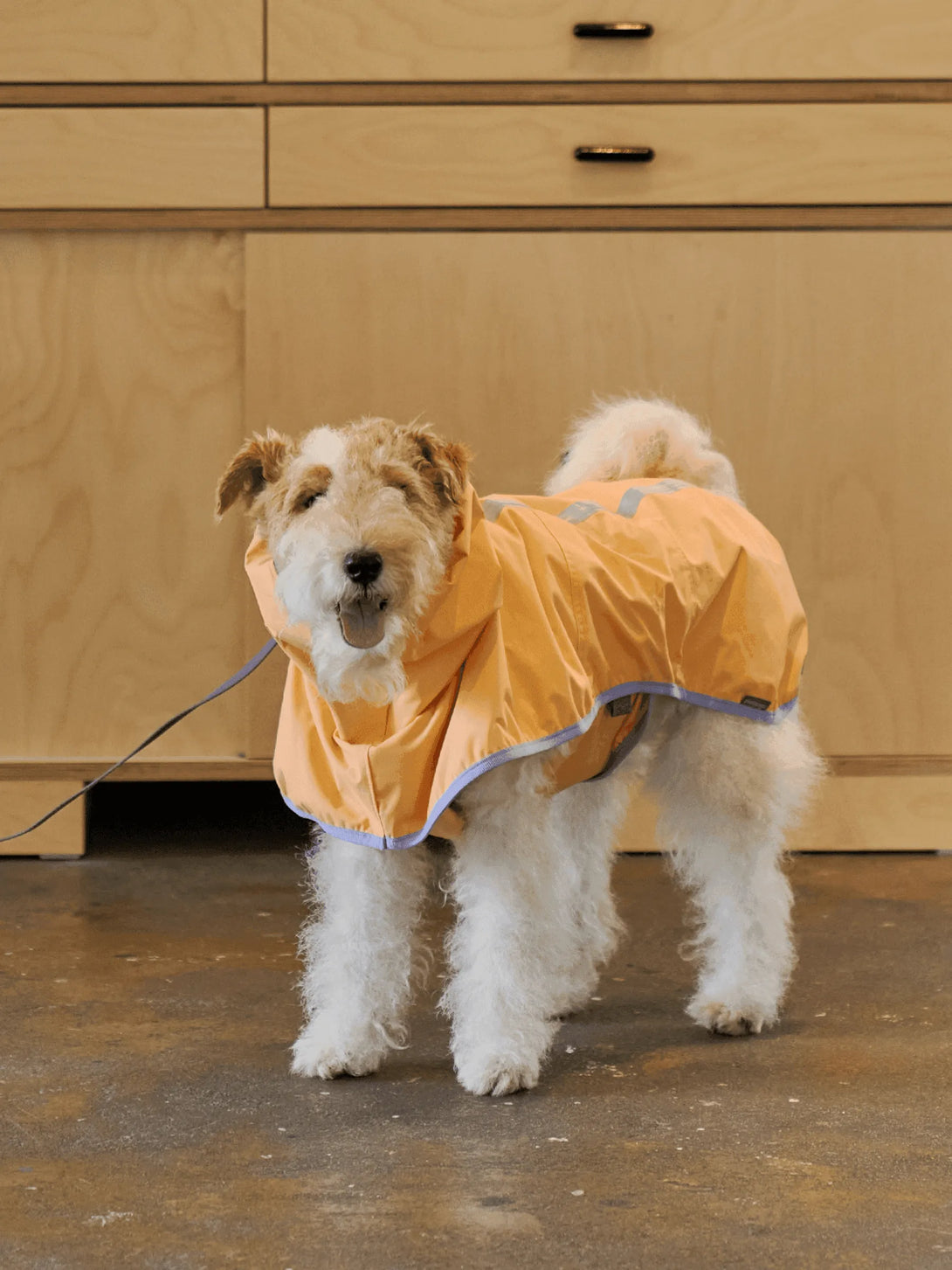 Full Coverage Reflective Dog Raincoat