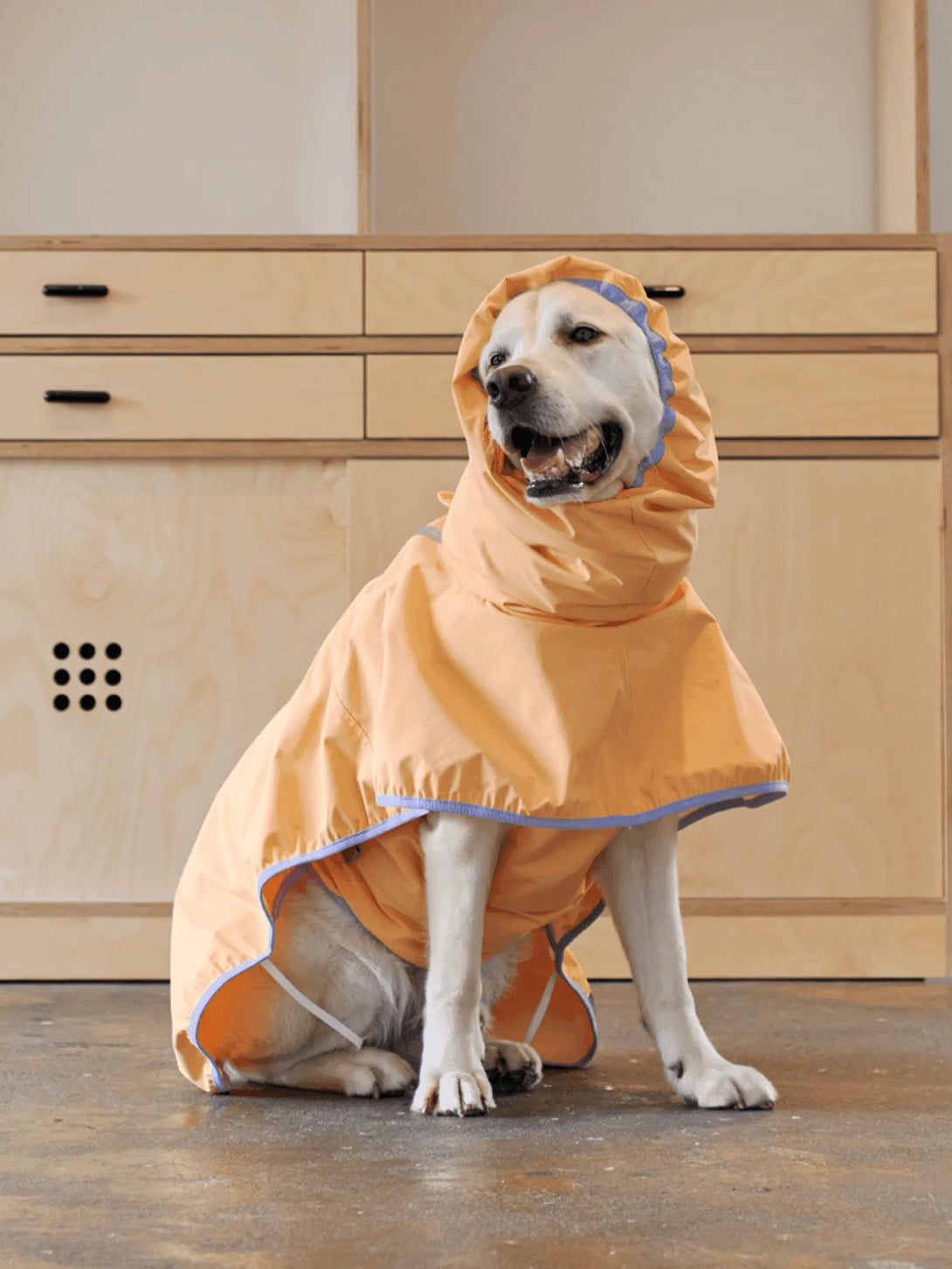 Full Coverage Reflective Dog Raincoat