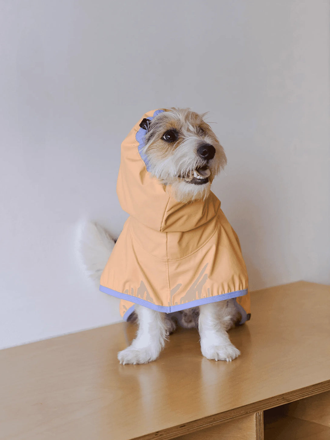 Full Coverage Reflective Dog Raincoat