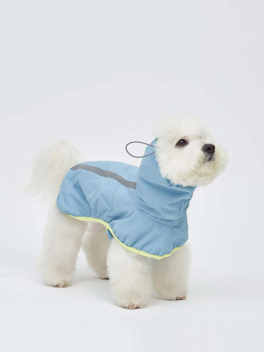 Full Coverage Reflective Dog Raincoat