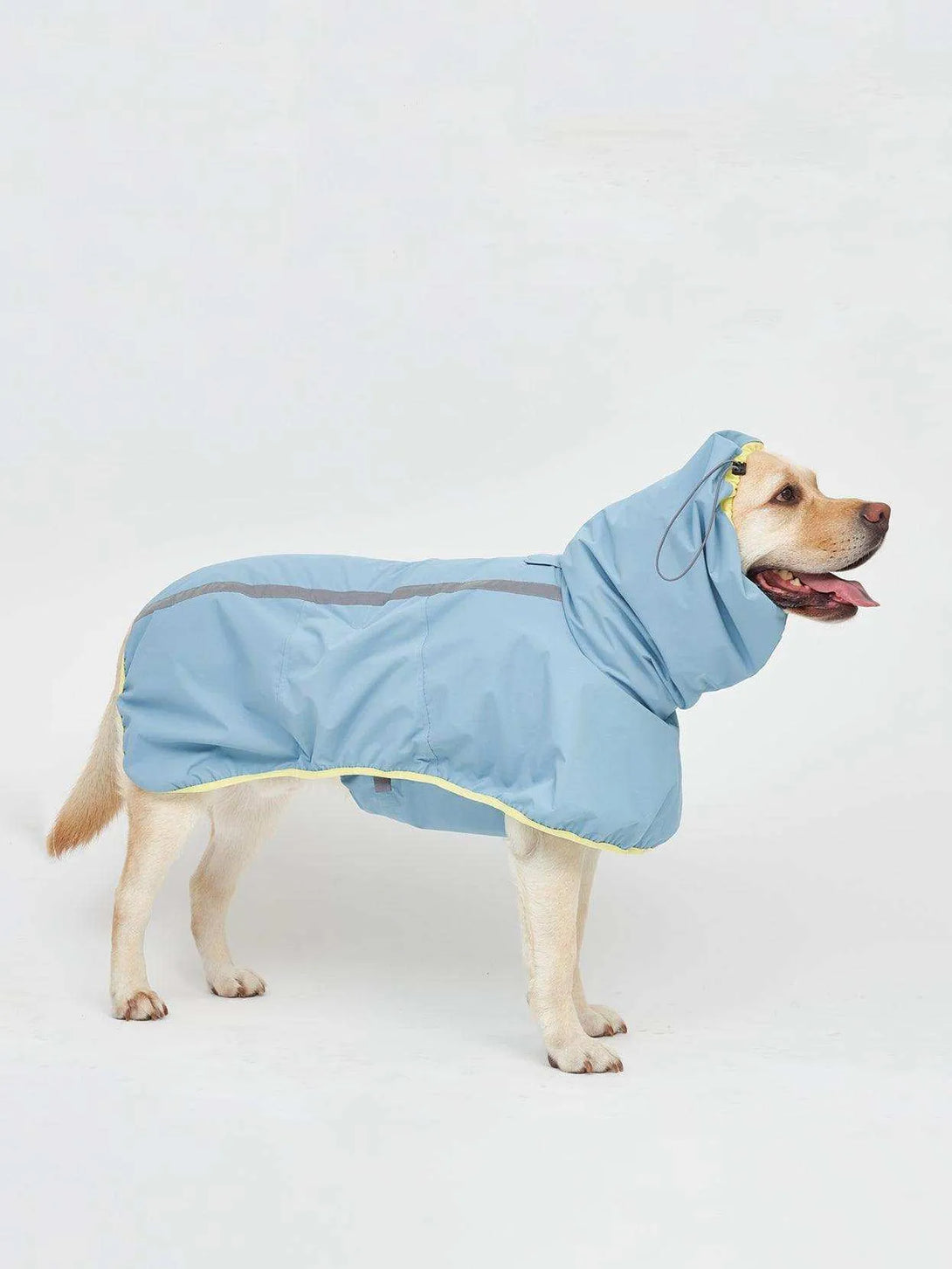 Full Coverage Reflective Dog Raincoat