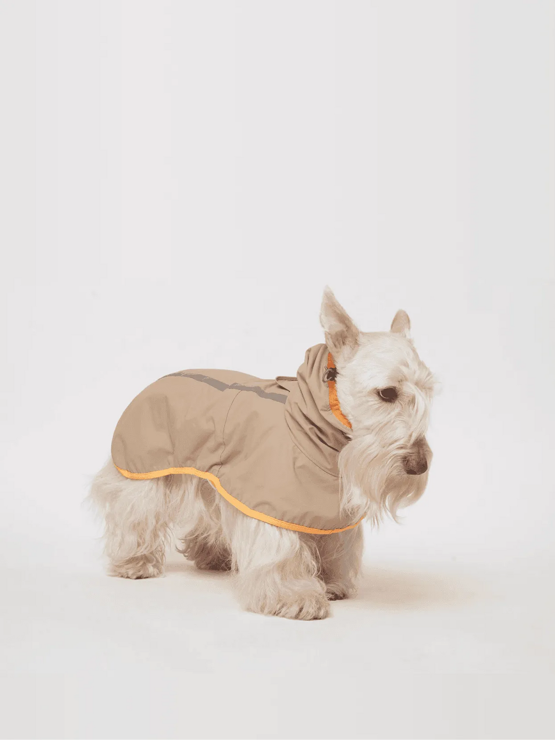 Full Coverage Reflective Dog Raincoat