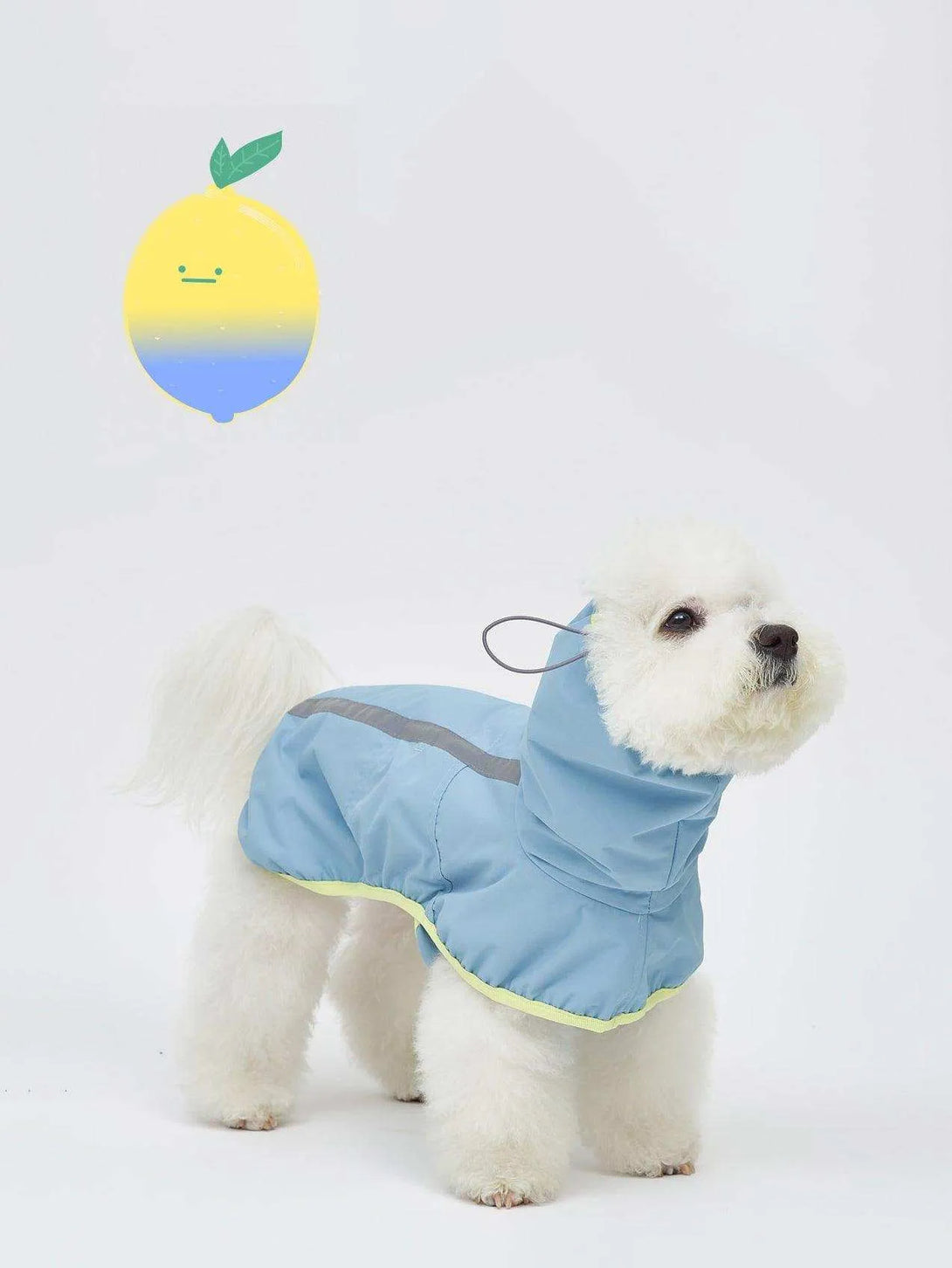 Full Coverage Reflective Dog Raincoat