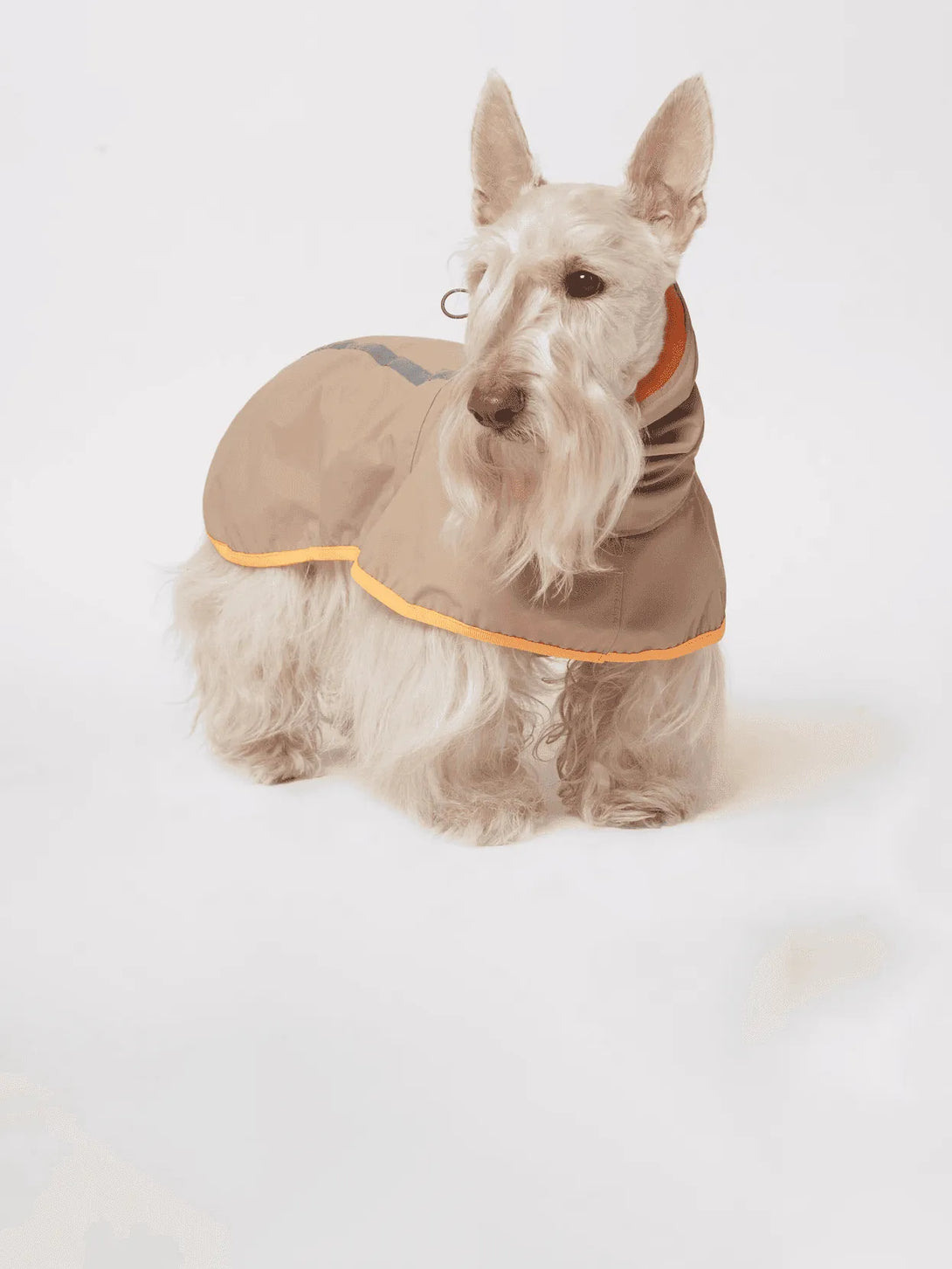 Full Coverage Reflective Dog Raincoat