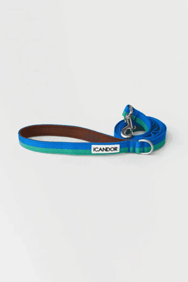 Gentle 2-Handle Dog Leash - Forest - 2&4 PETS