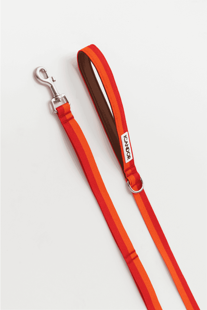 Gentle 2-Handle Dog Leash