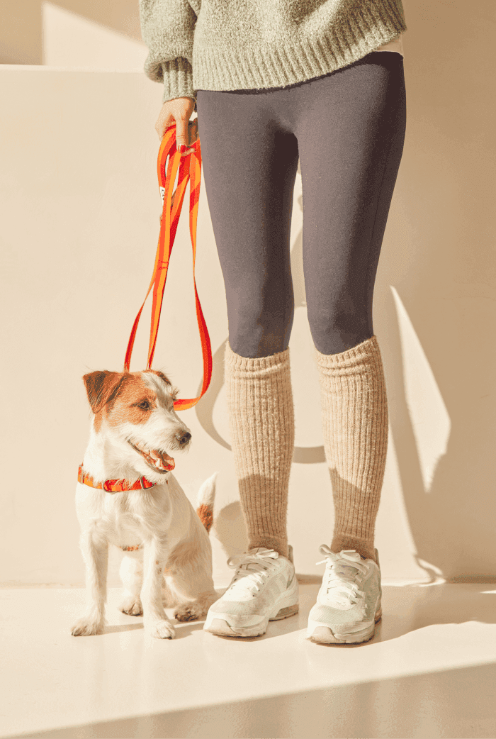 Gentle 2-Handle Dog Leash