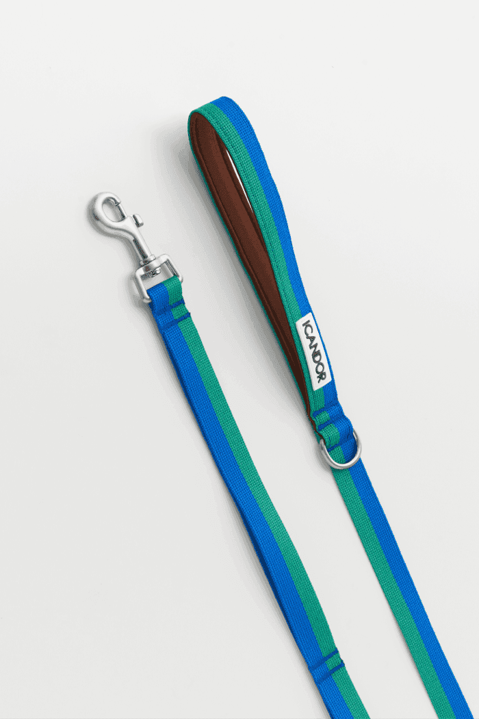 Gentle 2-Handle Dog Leash