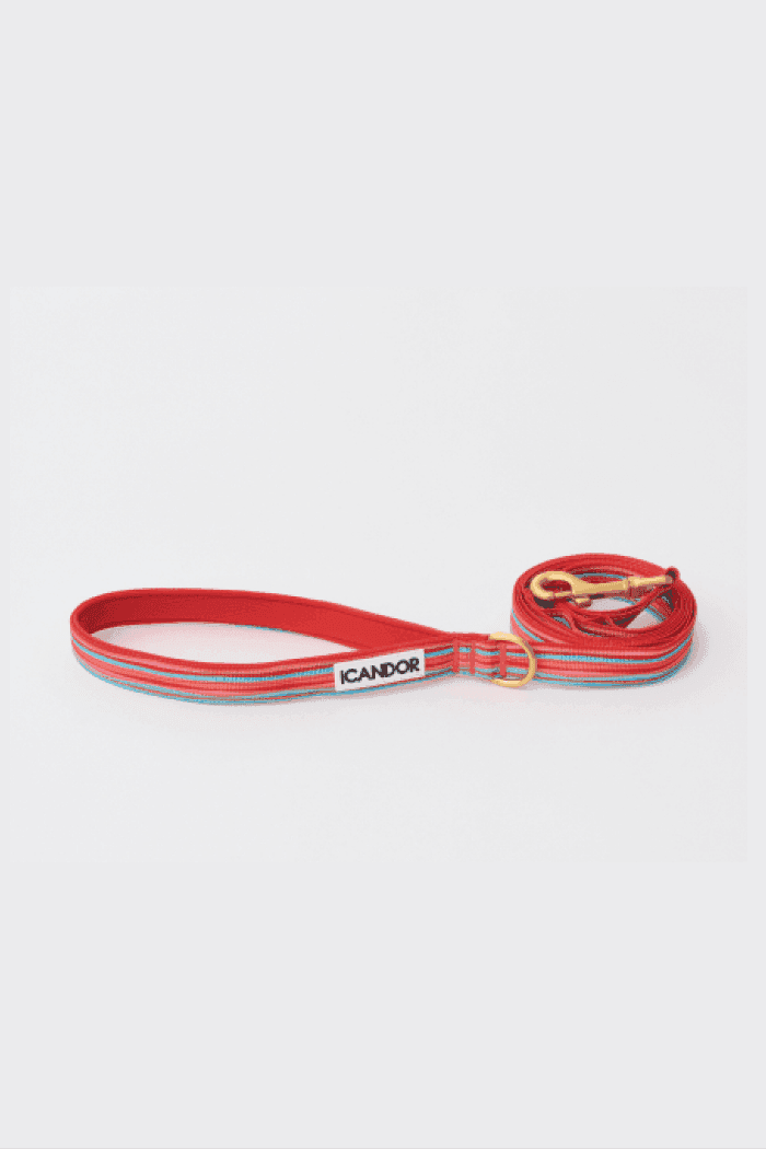 Gentle 2-Handle Dog Leash