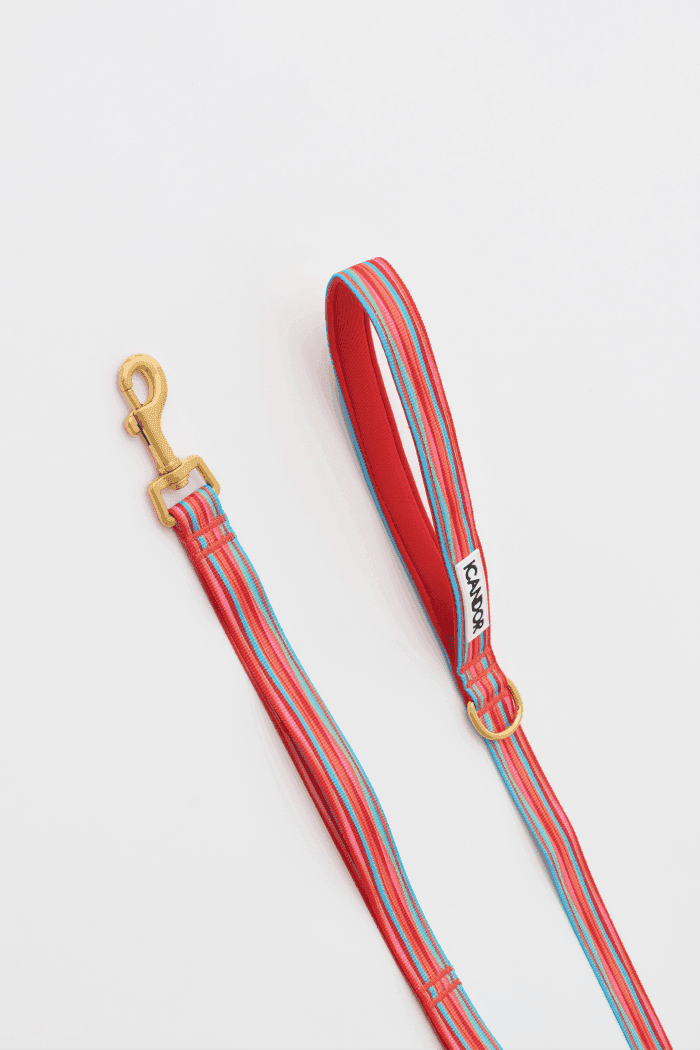 Gentle 2-Handle Dog Leash