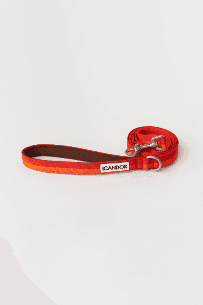 Gentle 2-Handle Dog Leash