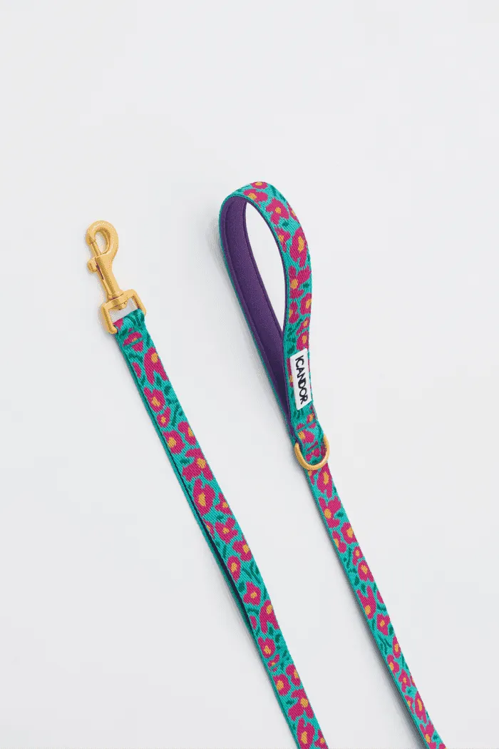 Gentle 2-Handle Dog Leash - Big Fish