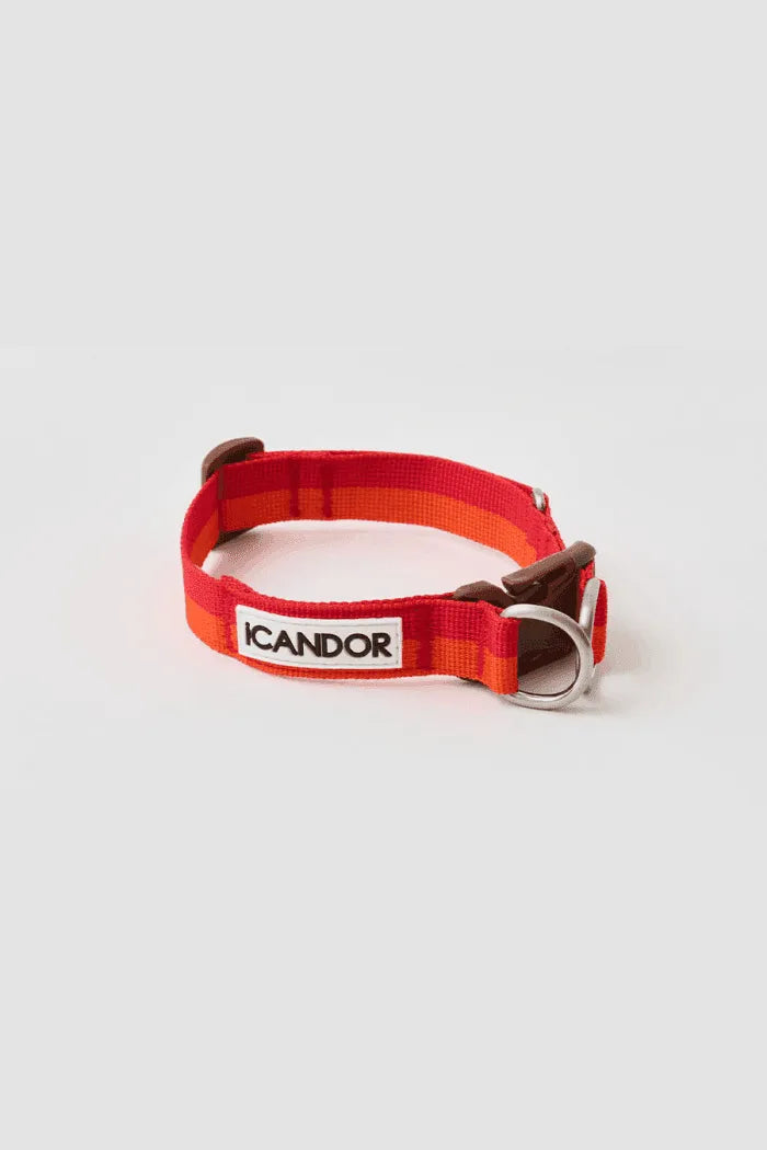 Gentle Dog Collar