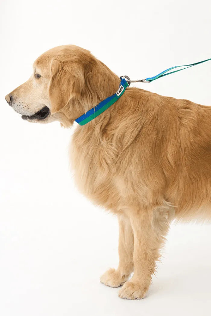 Gentle Dog Collar