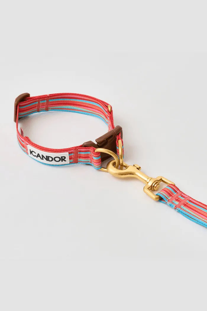 Gentle Dog Collar