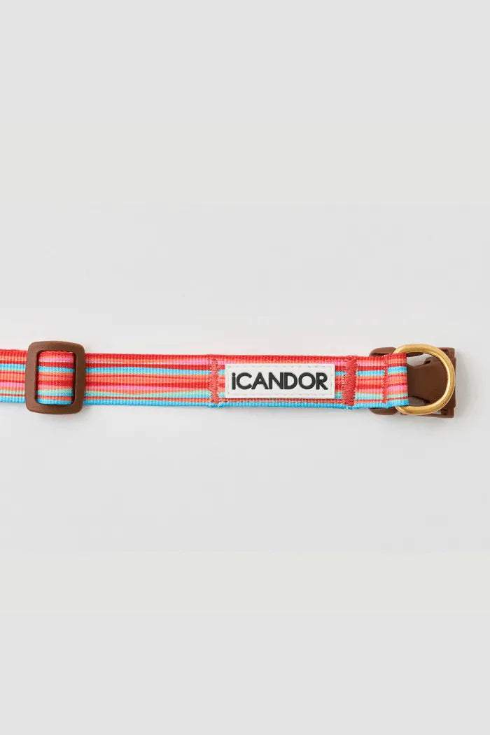 Gentle Dog Collar