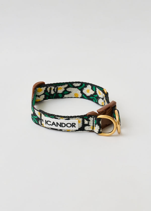 Gentle Dog Collar - Big Fish - 2&4 PETS