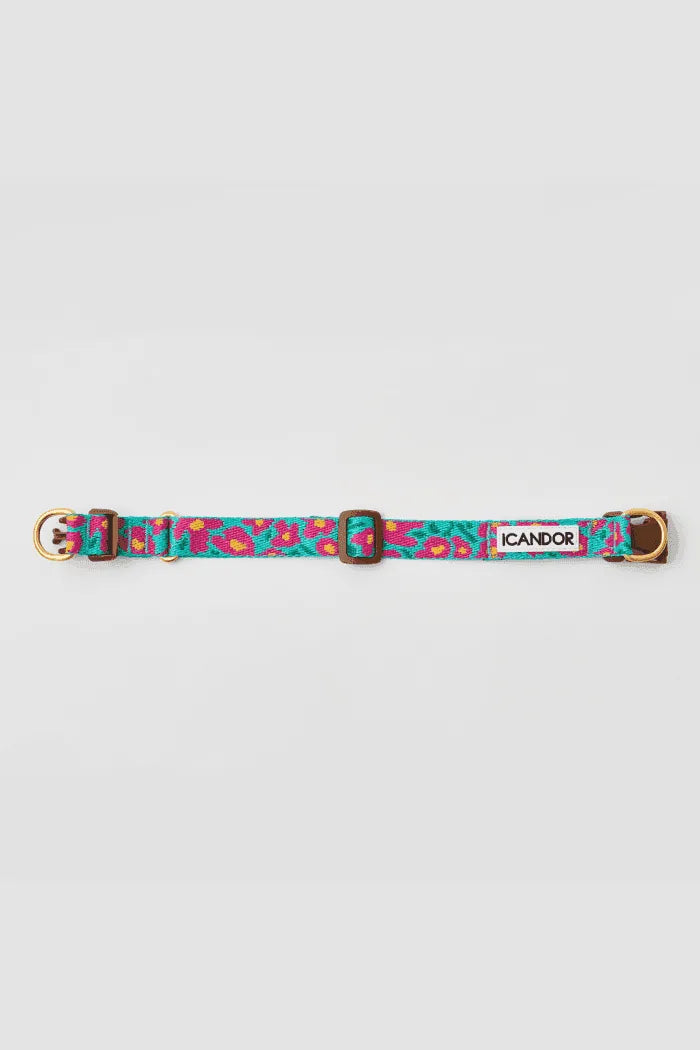 Gentle Dog Collar - Big Fish