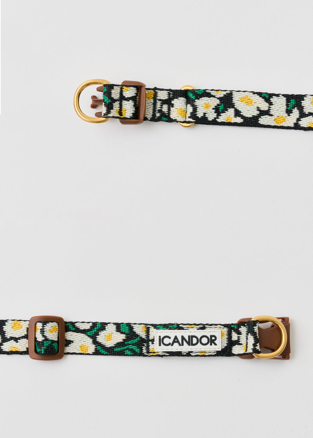 Gentle Dog Collar - Big Fish - 2&4 PETS