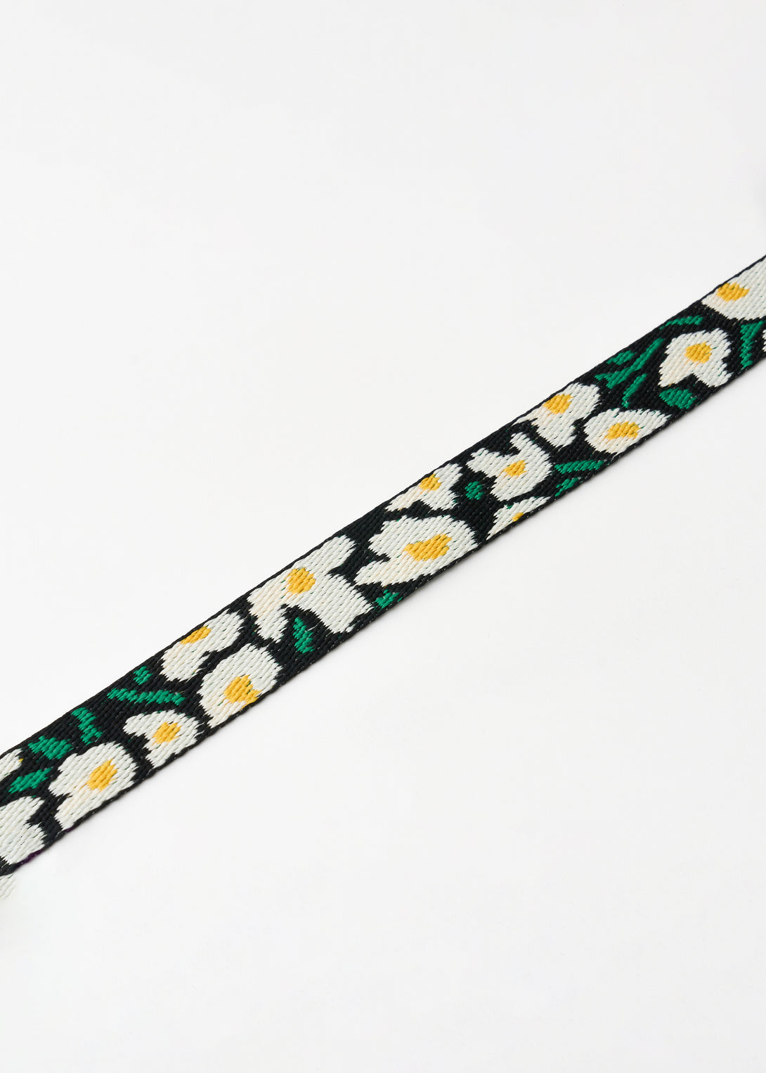 Gentle Dog Collar - Big Fish - 2&4 PETS