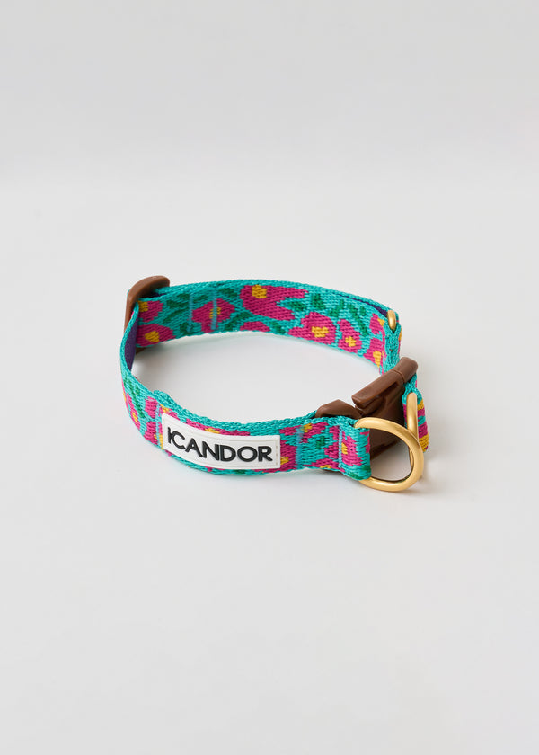Gentle Dog Collar - Big Fish Mint - 2&4 PETS